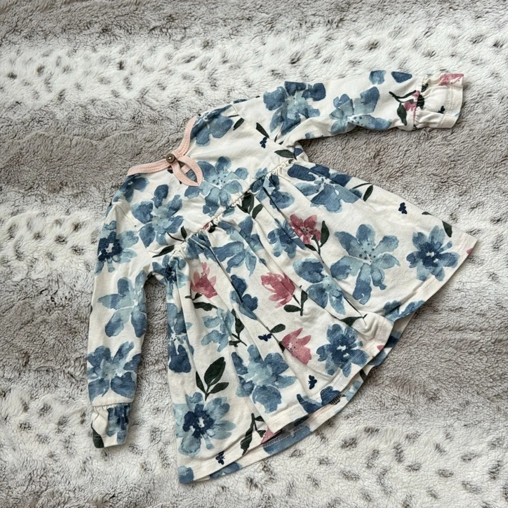 Burt’s Bees Baby dress blanket set girls 3-6 months pastel floral garden party